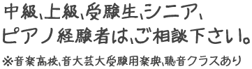 中級、上級、受験生、シニア、ピアノ経験者は、ご相談下さい。※音楽高校、音大芸大受験用楽典、聴音クラスあり